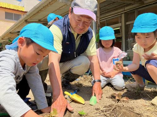 2023.05.09_園児らが自然農法による野菜づくりに挑戦2
