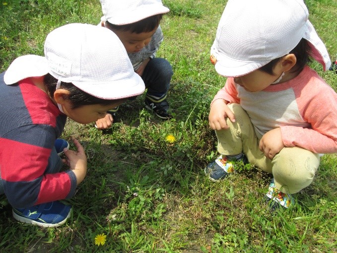 南部保育園の紹介(豊かな自然)