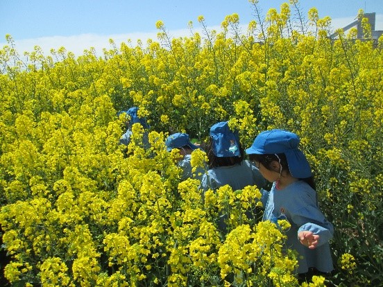 南部保育園の紹介(地域とのふれあい)