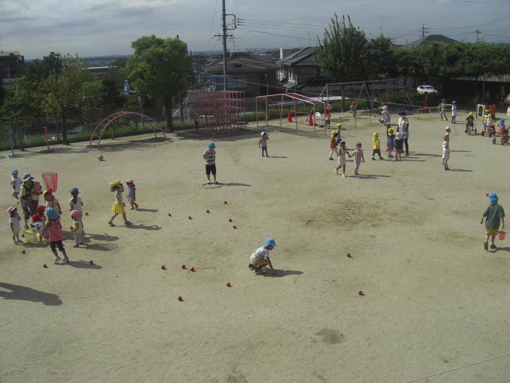 たかね保育園園庭