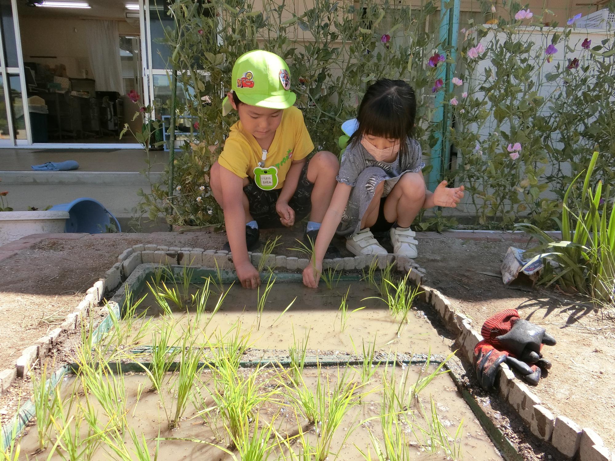 中部保育園あそびのようす(戸外活動2)