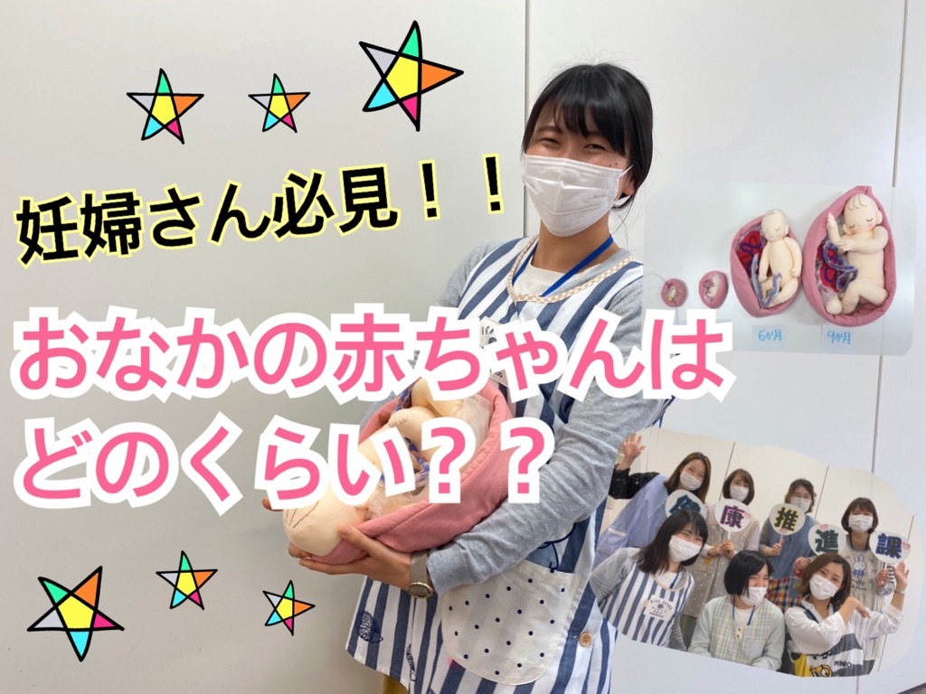 おなかの赤ちゃんはどのくらいの大きさ?