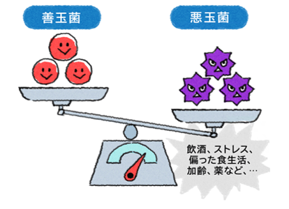 善玉菌の割合をうつすためには