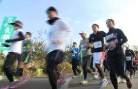 ランナーたちがマラソン大会で駆けている様子の写真