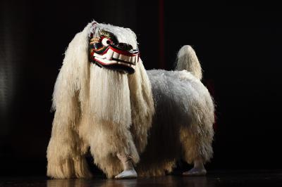 琉球獅子を披露している様子の写真