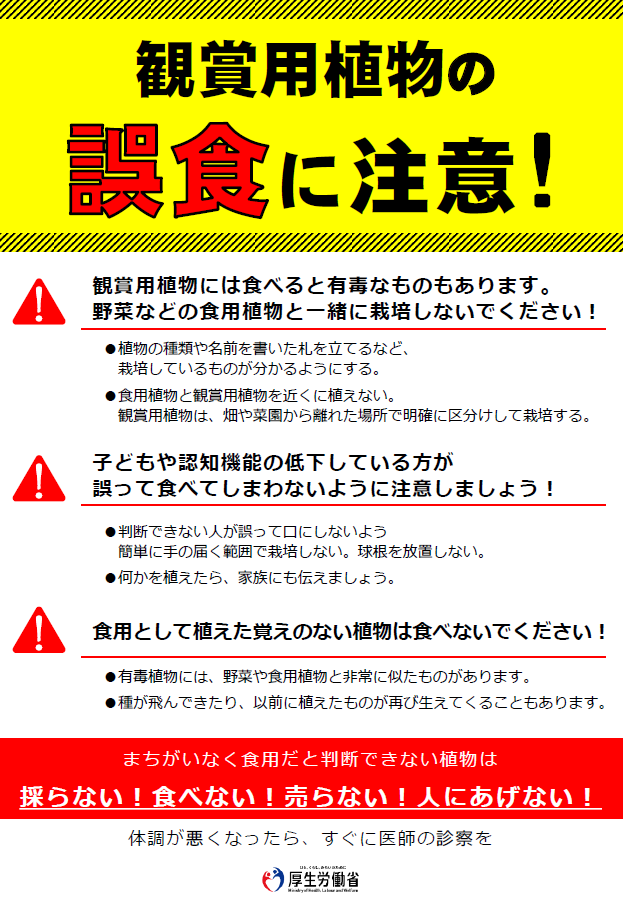 誤植