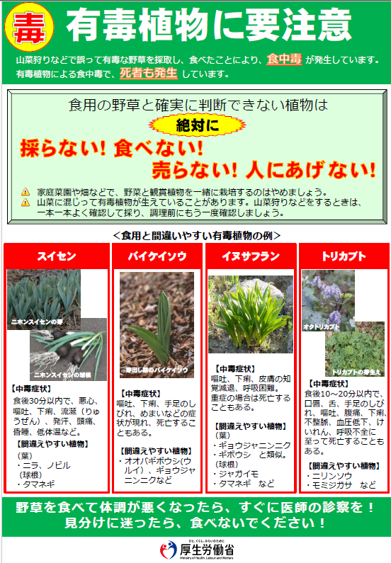 有害植物による食中毒の防止について