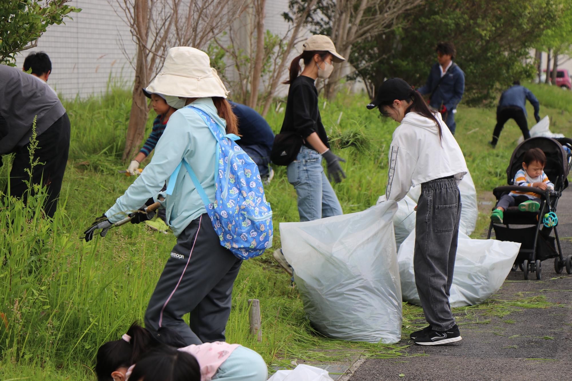 兵庫小学校「メンテナンス大作戦」2