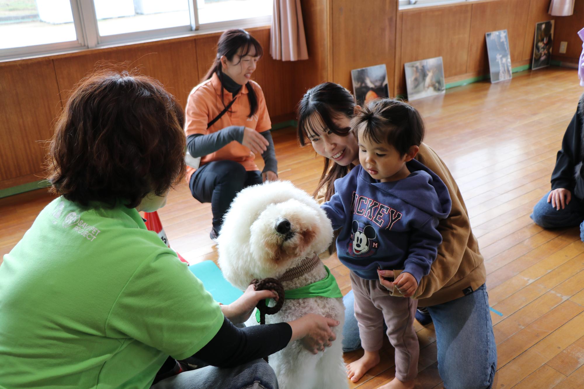 動物ふれあい教室（スタンダードプードルとふれあう）