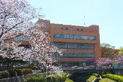 東郷町役場庁舎（春）