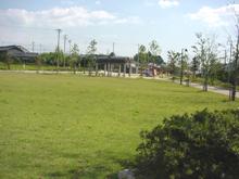 青空の下に芝生が広がる清水公園の写真