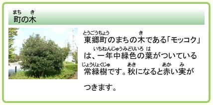 町の木 東郷町のまちの木である「モッコク」は、一年中緑色の葉がついている常緑樹です。秋になると赤い実がつきます。