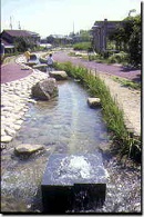 すずみまつ公園を流れる小川の写真
