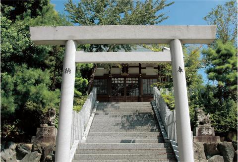 神社につながる鳥居と階段の写真