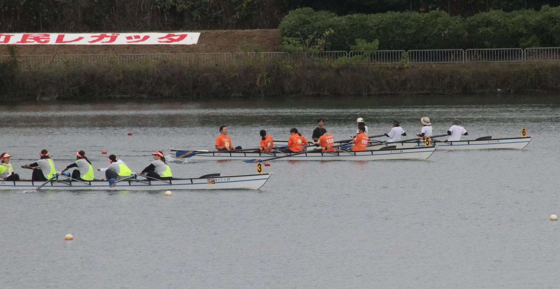 町民レガッタ