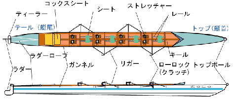 上から見たナックルフォアの画像