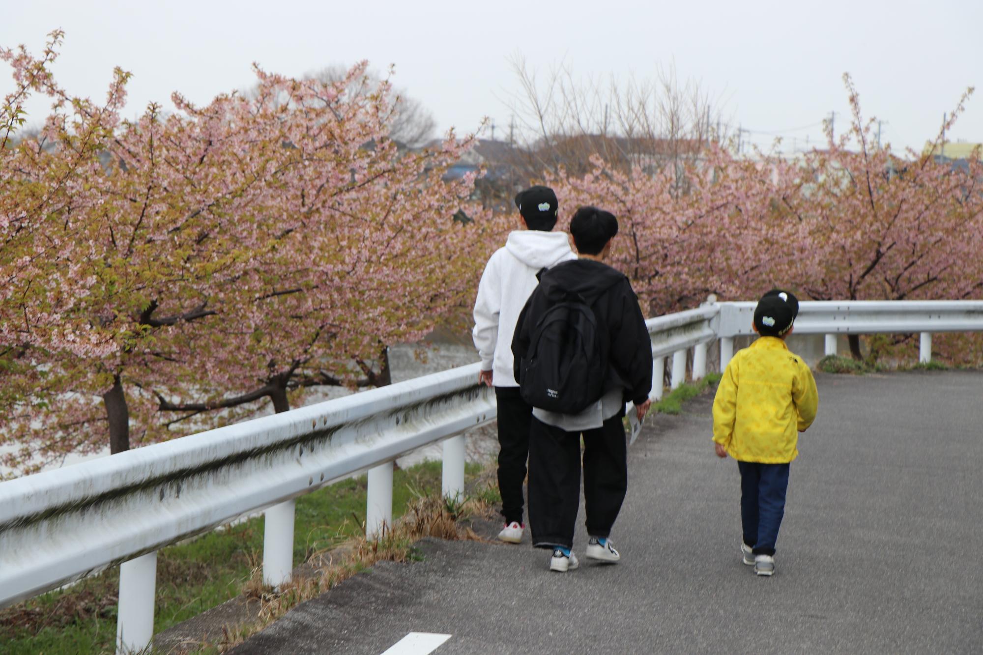 若王子池の付近を歩く様子