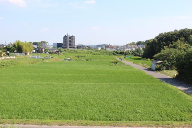 kankyo2